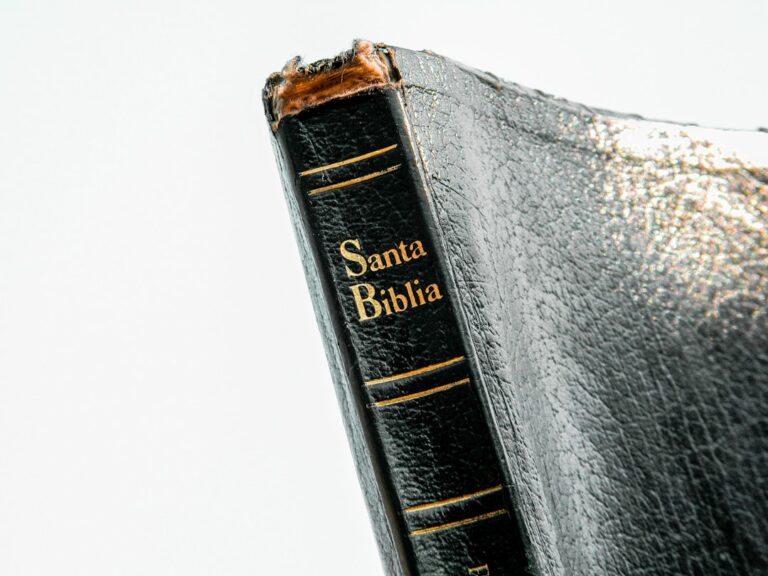 Pismo Święte online: gdzie szukać i jak czytać Biblię w internecie?